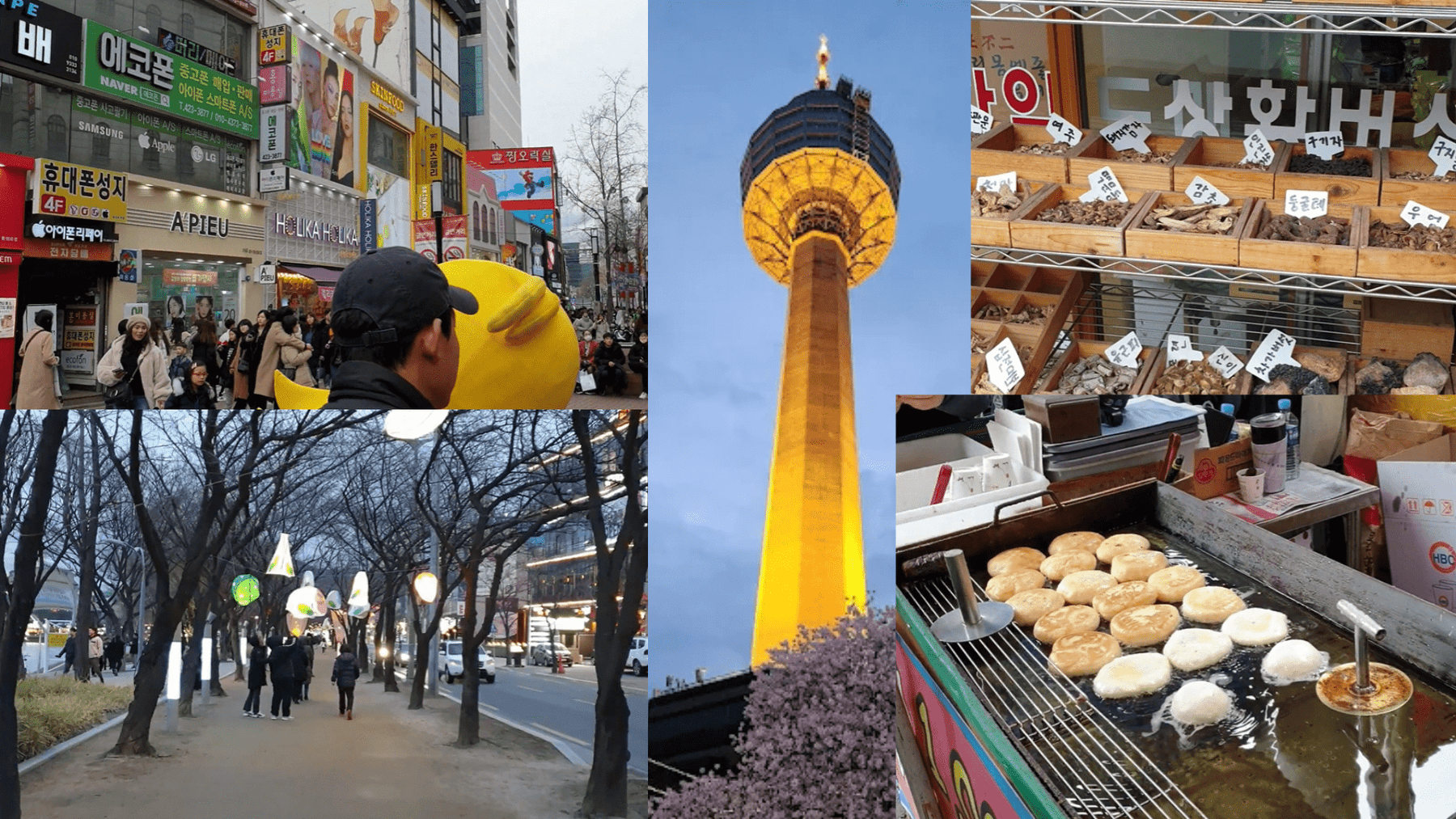 The Insider Travel Guide to Daegu, the Hometown of  V and Suga of BTS